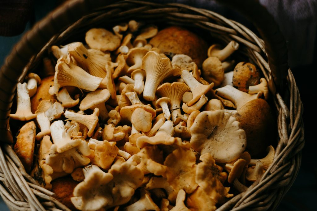 How to Safely Buy Magic Mushrooms Online