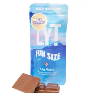 Magic Mushroom (Fun Size) 1.2g Chocolate Bar - LYT