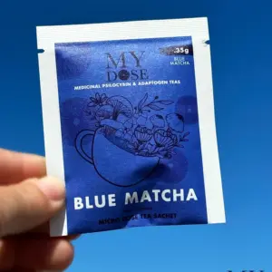 Magic Mushroom Single Tea Bag - MyDose